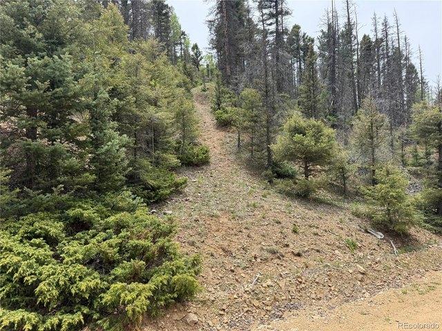 Land for sale in Fort Garland, Colorado