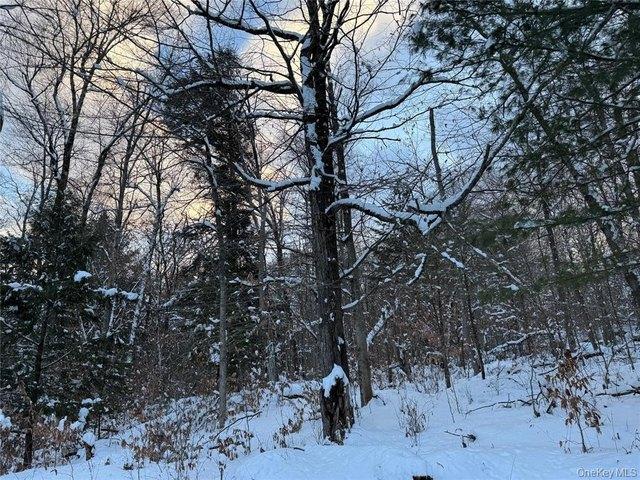 Land for sale in Monticello, New York