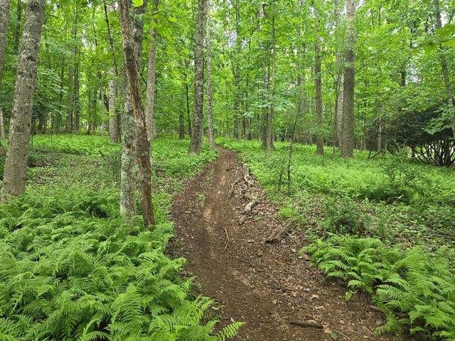 Land for sale in Virginia