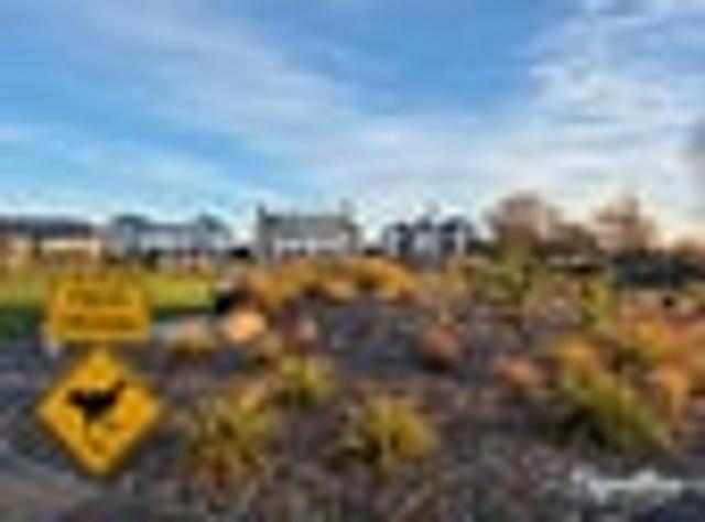 House for sale in Chaslands, Canterbury