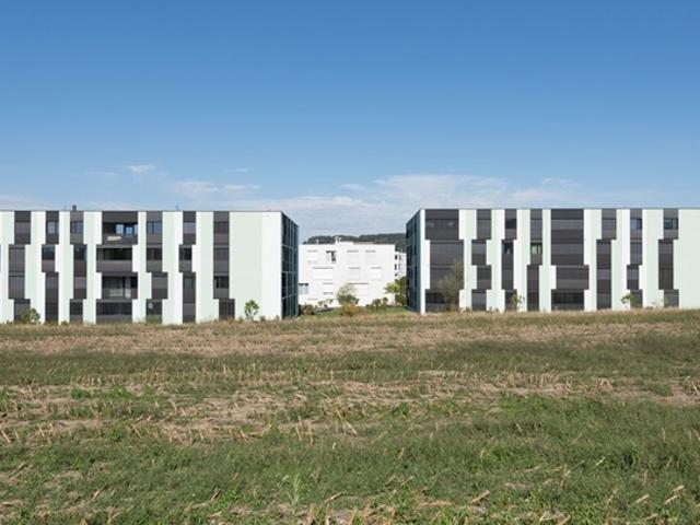 Wohnung mieten in Bülach, Zürich