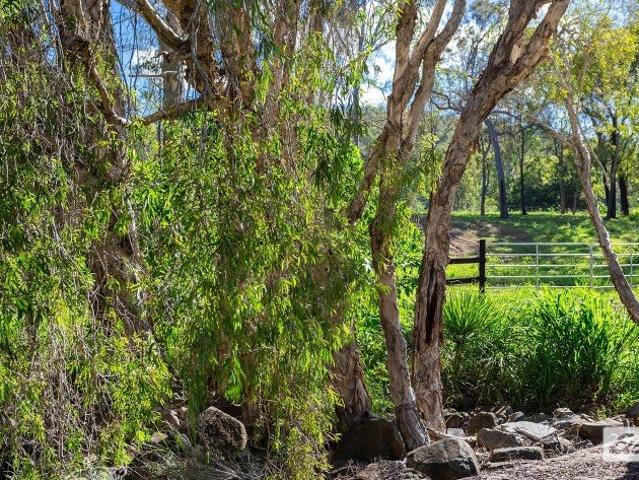 Land for sale in Mount Chalmers, Queensland