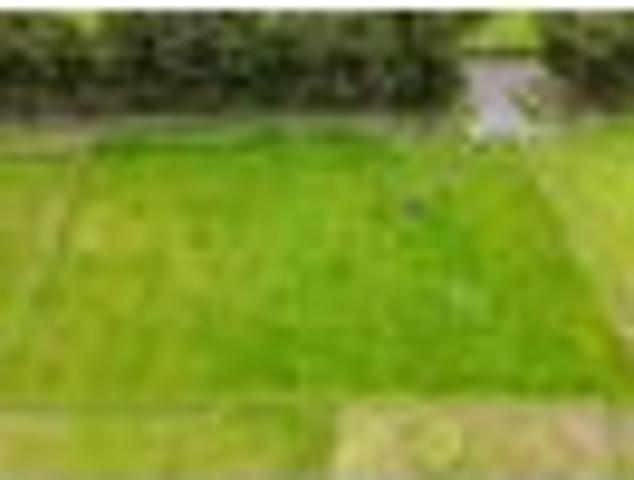 Land for sale in Ashhurst