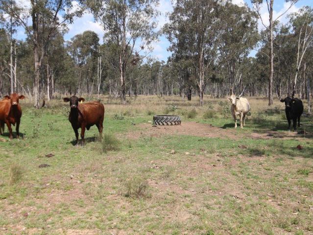 Cottage for sale in Brovinia, Queensland