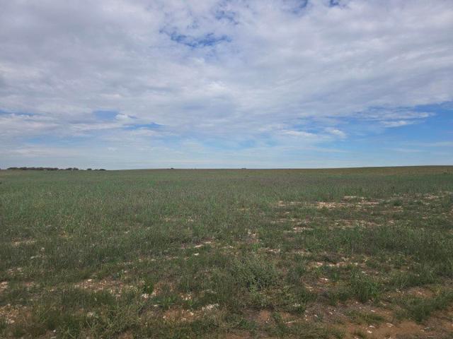 Cottage for sale in Wynarka, South Australia