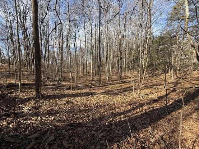Land for sale in Virginia