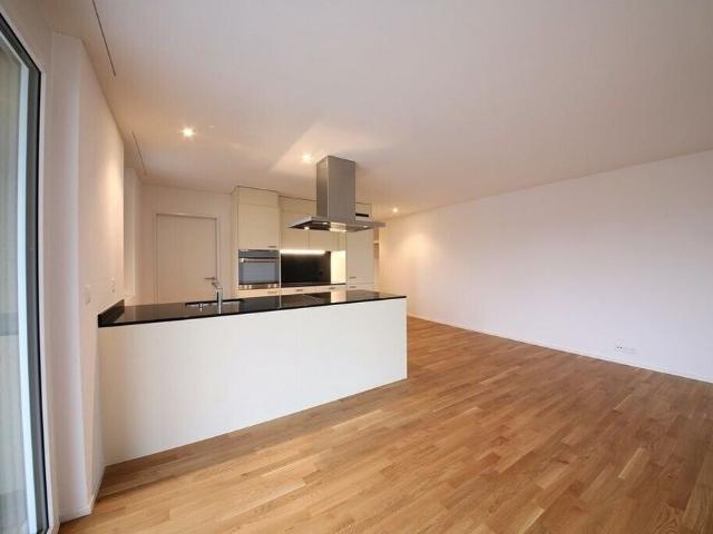 Apartment mieten in Reichenburg, Schwyz