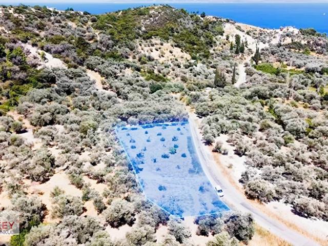 Kösedere Mahallesi, Karaburun içerisinde satılık mülk