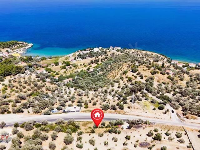 Kösedere Mahallesi, Karaburun içerisinde satılık mülk