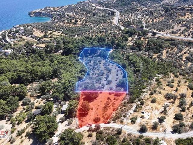 Kösedere Mahallesi, Karaburun içerisinde satılık mülk