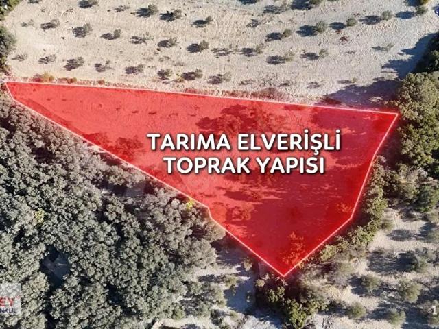 Karaburun, İzmir içerisinde satılık mülk