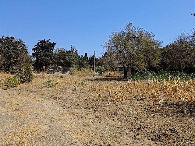 Datça, Muğla içerisinde satılık Arsa