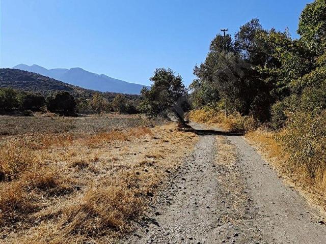 Datça, Muğla içerisinde satılık Arsa