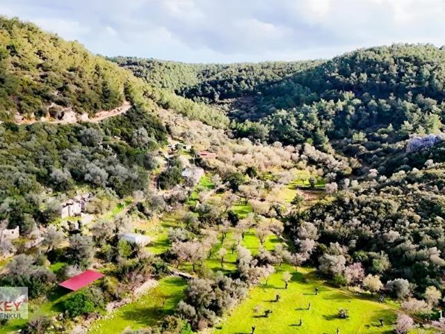Datça, Muğla içerisinde satılık Arsa