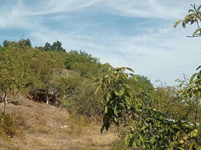 Subaşı Mahallesi, Turgutlu içerisinde satılık Arsa