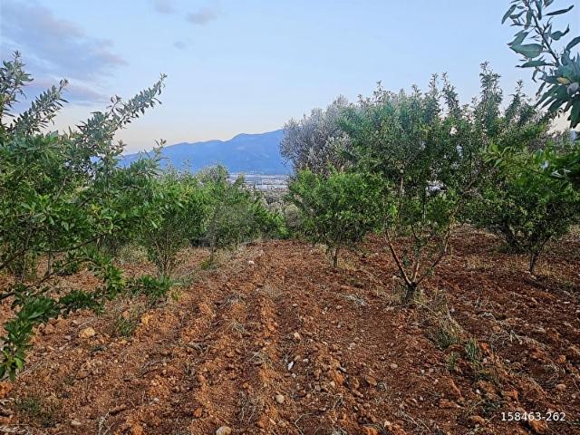 Kemalpaşa, İzmir içerisinde satılık mülk
