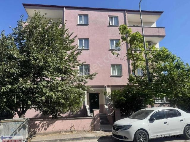Balikesir içerisinde kiralık mülk
