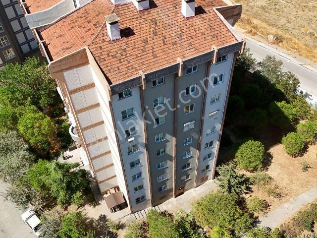 Yeni Mahalle, Karesi içerisinde kiralık mülk