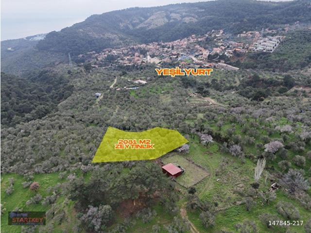 Ayvacik, Çanakkale içerisinde satılık mülk