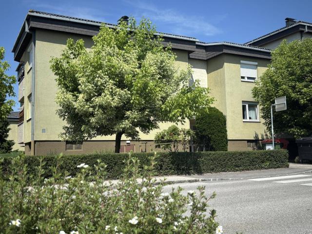 Apartment kaufen in Perg, Lanzenberg