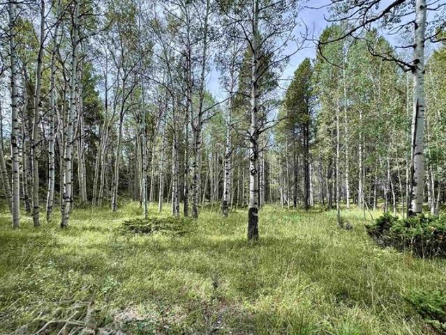 Land for sale in Wyoming