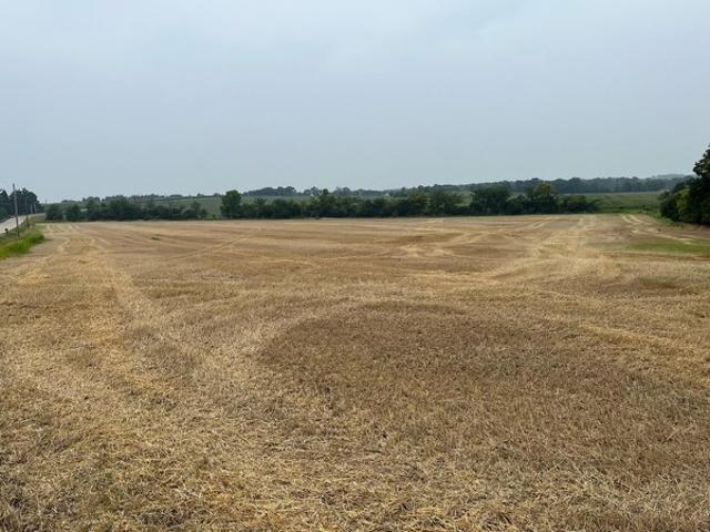 Land for sale in Town of Sumner, Barron County