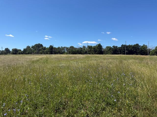 Land for sale in Adair, Missouri