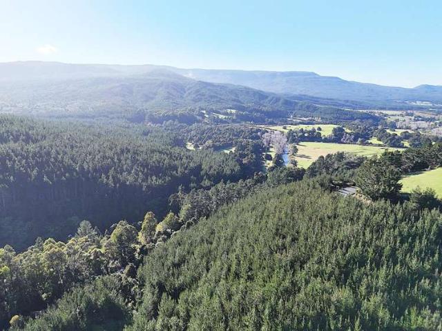 Property for sale in Kaihu, Northland