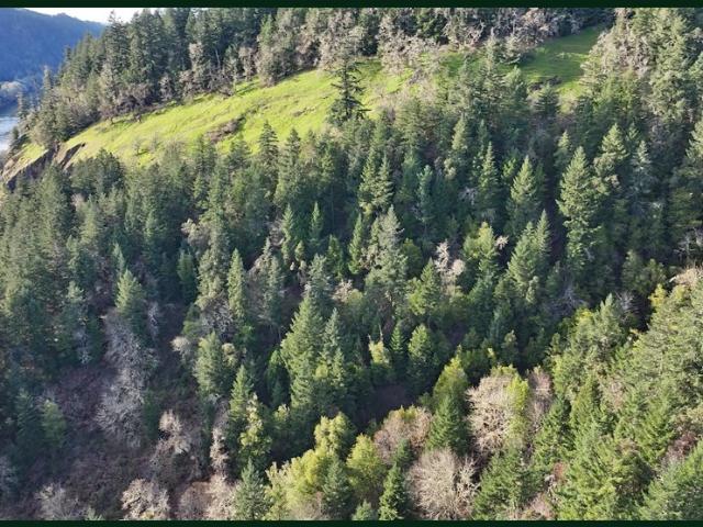 Land for sale in Oakland