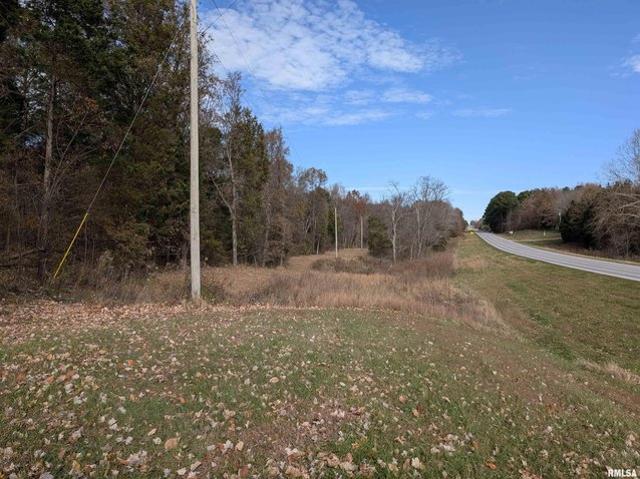 Land for sale in Stonefort, Illinois