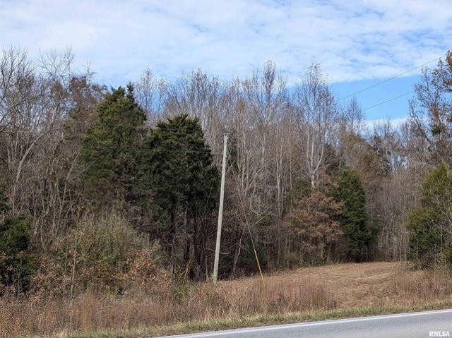 Land for sale in Stonefort, Illinois