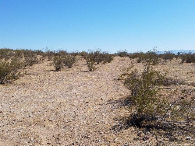 Land for sale in Cantil, California