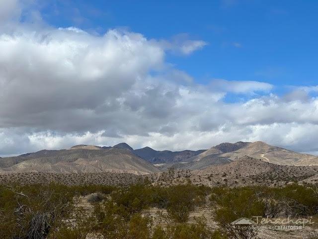 Land for sale in Cantil, California