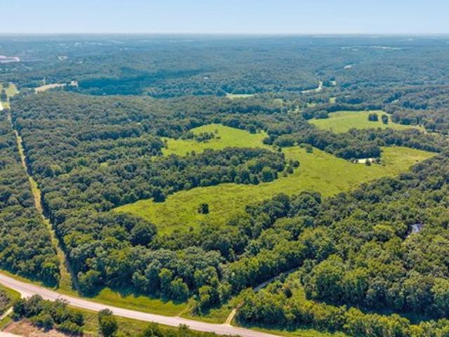 Land for sale in Mount Vernon, Missouri