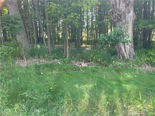 Land for sale in Masonville, New York