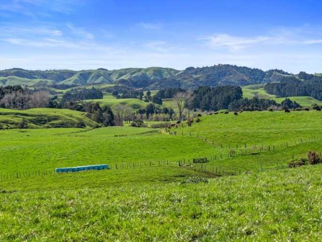 Property for sale in Raglan, Waikato