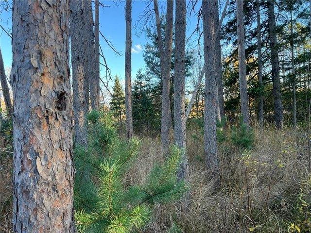 Land for sale in Sandstone, Minnesota