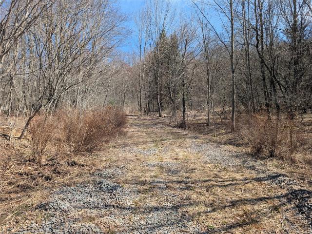 Land for sale in Andes, New York