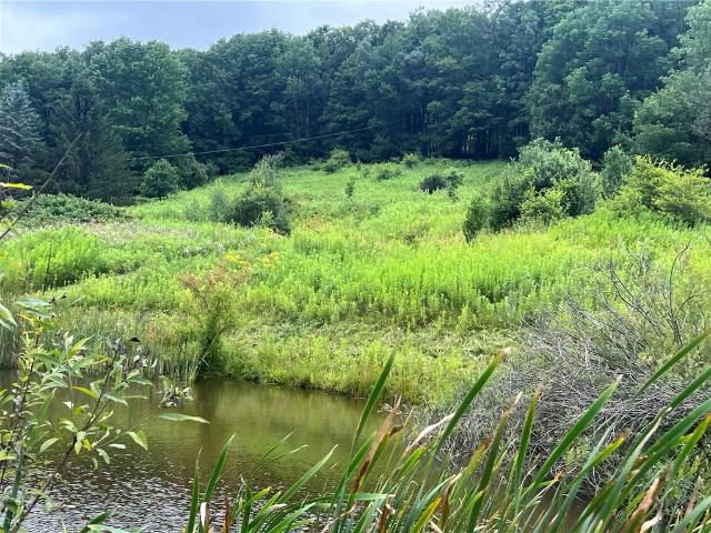 Land for sale in Bloomville, New York