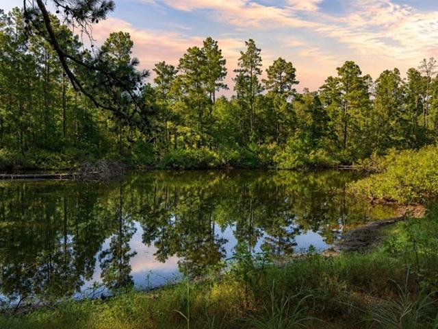 Land for sale in Elkhart, Texas