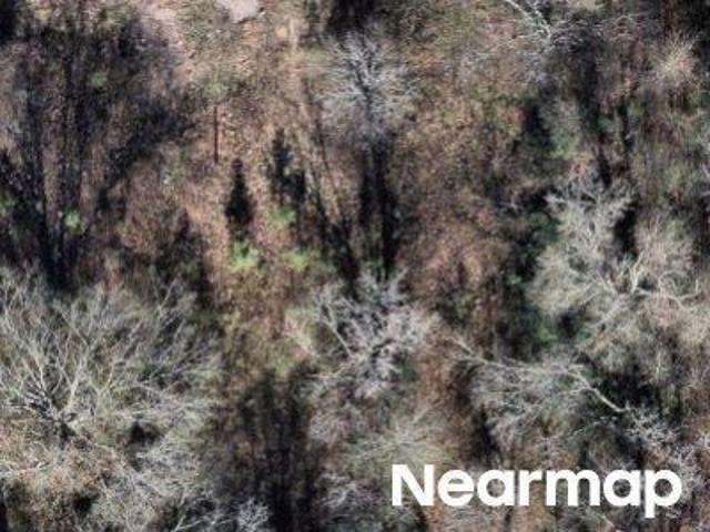 Land for sale in Kilgore, Texas