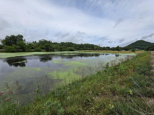 Land for sale in Ferryville, Wisconsin