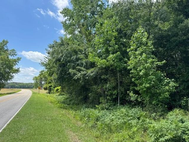 Land for sale in Clio, South Carolina