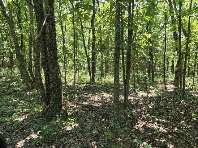 Land for sale in Belle, Missouri