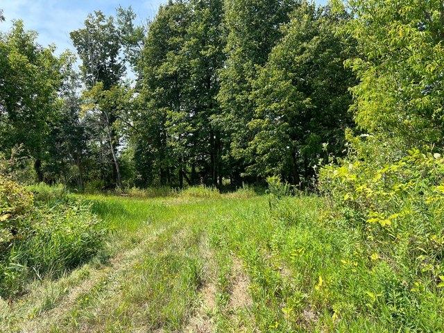 Land for sale in Hinckley, Minnesota