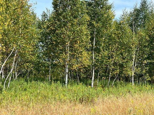Land for sale in Hinckley, Minnesota