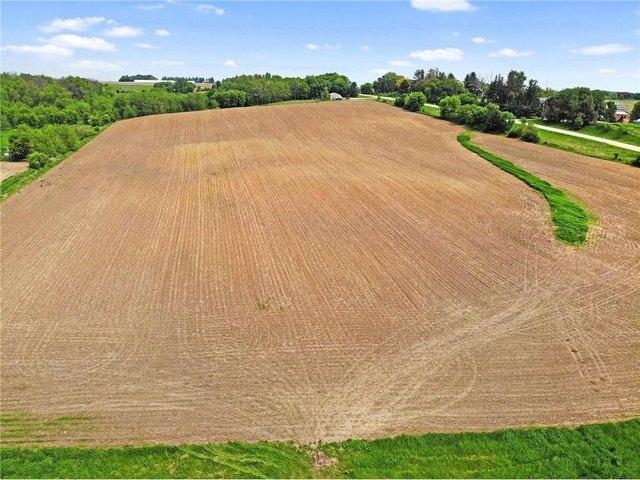 Land for sale in West Concord, Minnesota