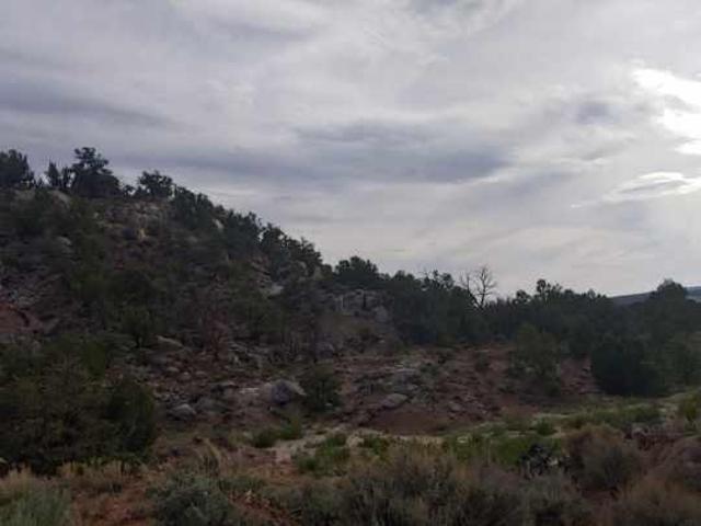 Land for sale in Lindrith, New Mexico