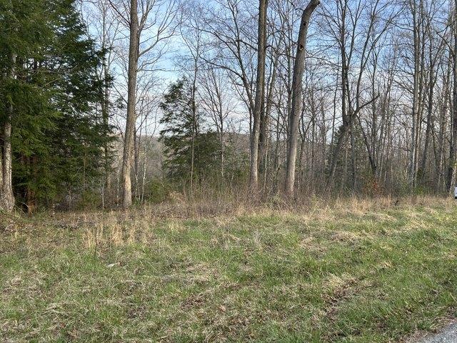 Land for sale in Monticello, Kentucky