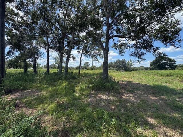 Land for sale in Altair, Texas